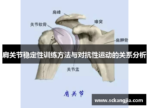 肩关节稳定性训练方法与对抗性运动的关系分析